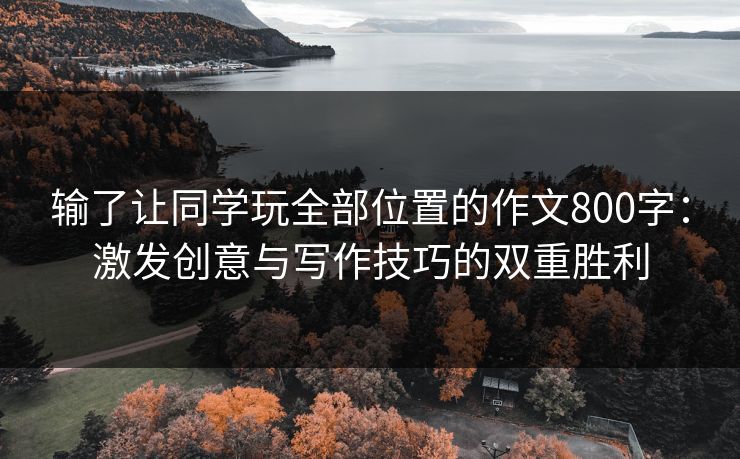 输了让同学玩全部位置的作文800字：激发创意与写作技巧的双重胜利