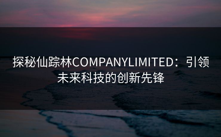 探秘仙踪林COMPANYLIMITED：引领未来科技的创新先锋